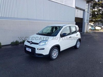 usata Fiat Panda Panda My24 1.0 70cv Hybrid