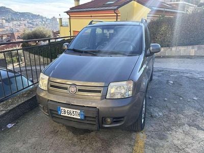 Usata Fiat Panda 4x4 69 CV (50 kW) 2010 Grigio Utilitaria