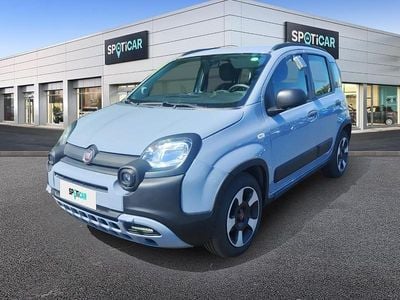 Begagnad Fiat Panda Cross Cross 70 HK (51 kW) 2020 Grå Halvkombi