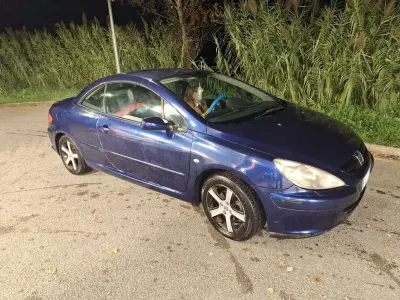 Usata Peugeot 307 CC 110 CV (80 kW) 2005 Cabrio