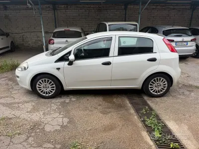 Usata Fiat Punto Lounge 69 CV (50 kW) 2015 Bianco Utilitaria