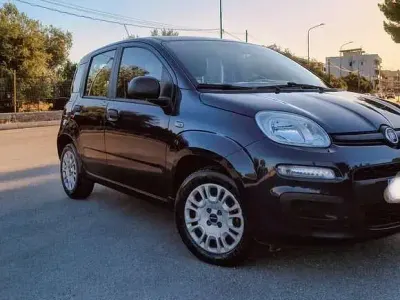 Usata Fiat Panda Easy 95 CV (69 kW) 2016 Utilitaria