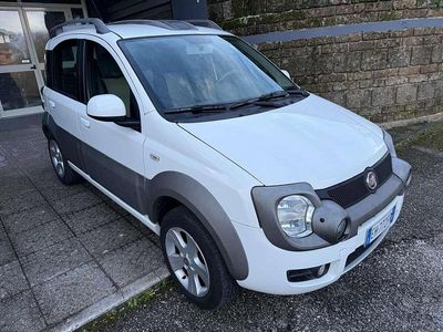 Usata Fiat Panda 4x4 Cross 75 CV (55 kW) 2011 Bianco Utilitaria
