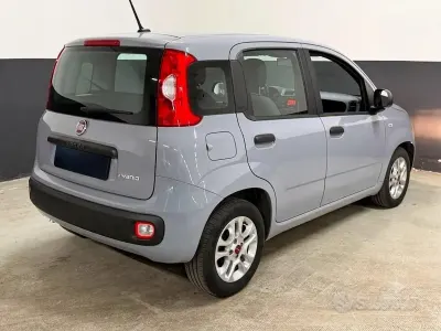 Usata Fiat Panda Easy 69 CV (50 kW) 2021 Grigio Utilitaria