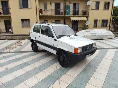 Usata Fiat Panda 4x4