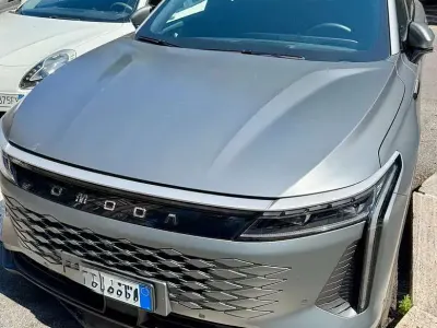 Usata Omoda 9