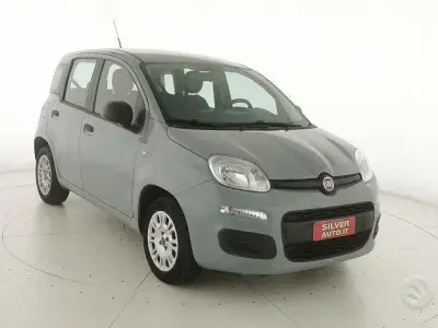 Usata Fiat Panda Easy 69 CV (50 kW) 2019 Grigio Utilitaria