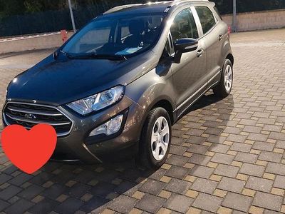 Usata Ford Ecosport Sport 100 CV (73 kW) 2018 Grigio SUV