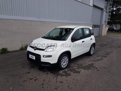 usata Fiat Panda 1.0 FireFly S&S Hybrid nuovo