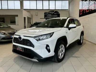 Usata Toyota RAV4 Hybrid