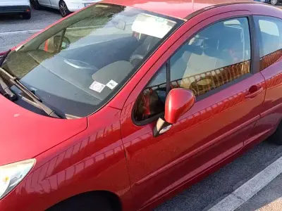 Usata Peugeot 207 95 CV (69 kW) 2009 Rosso Berlina