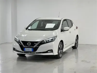 Usata Nissan Leaf