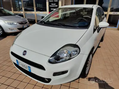 Usata Fiat Punto Lounge 75 CV (55 kW) 2014 Bianco Utilitaria