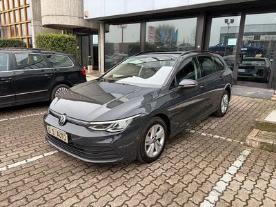 usata VW Golf VIII variant 2.0 tdi life 115cv