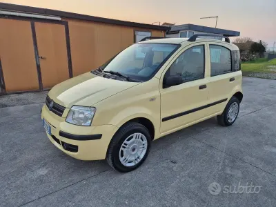 Usata Fiat Panda Dynamic 60 CV (44 kW) 2007 Giallo Utilitaria