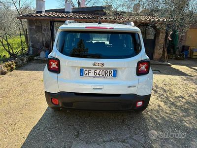 Usata Jeep Renegade Longitude 120 CV (88 kW) 2021 Bianco SUV