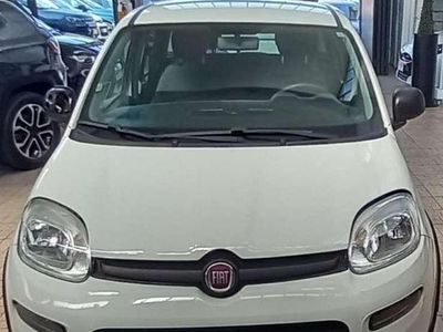 Usata Fiat Panda Street 69 CV (50 kW) 2022 Bianco Utilitaria