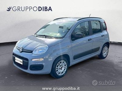 Usata Fiat Panda Easy 69 CV (50 kW) 2019 Grigio Utilitaria