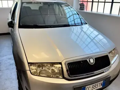 Usata Skoda Fabia