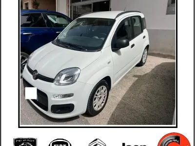 Usata Fiat Panda Easy 74 CV (54 kW) 2013 Bianco Utilitaria