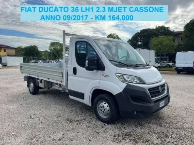 Usata Fiat Ducato 131 CV (96 kW) 2017 Bianco Furgone