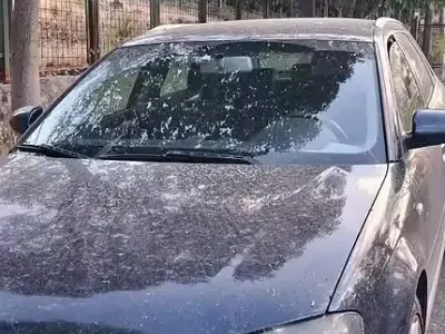 Usado Audi A3 140 CV (102 kW) 2005 Azul Utilitario