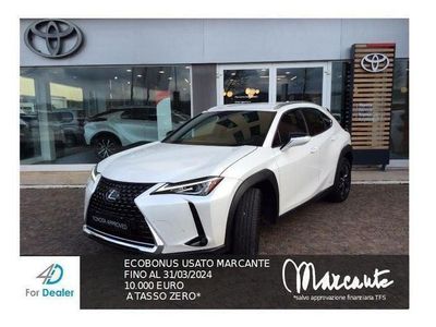 usata Lexus UX Hybrid Business