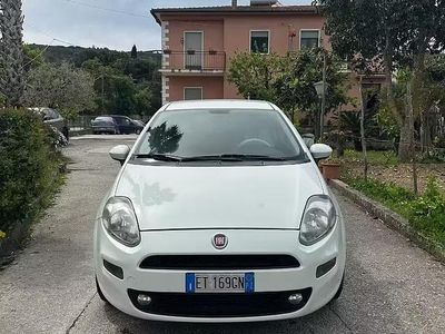 Usata Fiat Punto 75 CV (55 kW) 2013 Bianco Utilitaria