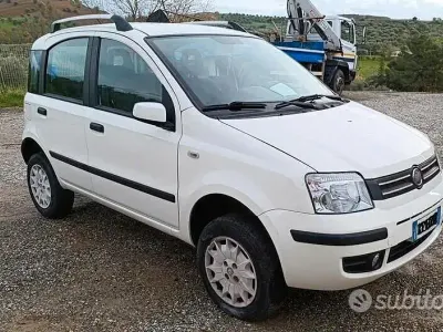 Usata Fiat Panda Dynamic 60 CV (44 kW) 2009 Grigio Utilitaria