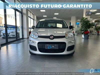 usata Fiat Panda 2ª serie 1.0 hybrid Launch Edition s&s 70cv