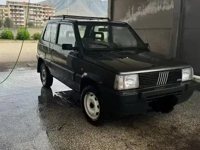 Usata Fiat Panda 4x4 50 CV (36 kW) 1988 Verde Utilitaria