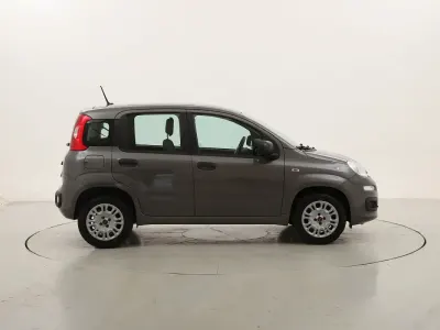 Usata Fiat Panda Easy 69 CV (50 kW) 2021 Antraciteantracite Utilitaria