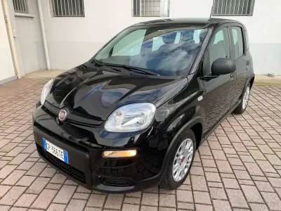 Usata Fiat Panda 69 CV (50 kW) 2023 Nero Utilitaria