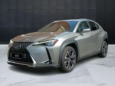 Usata Lexus UX Luxury Line 184 CV (135 kW) 2020 Grigio SUV