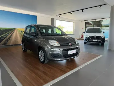 Usata Fiat Panda Easy 70 CV (51 kW) 2020 Grigio Utilitaria