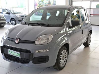 usata Fiat Panda 1.2 - serie 3 1.2 69cv s&s easy euro 6d-temp