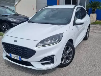Usata Ford Kuga ST-Line 224 CV (164 kW) 2022 Bianco SUV
