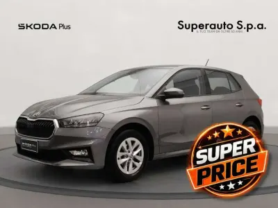 Usata Skoda Fabia
