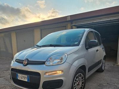 usata Fiat Panda Panda 1.2 Young