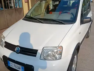Usata Fiat Panda 4x4 60 CV (44 kW) 2006 Bianco Utilitaria