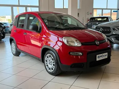 Usata Fiat Panda Icon 69 CV (50 kW) 2024 Rosso Utilitaria