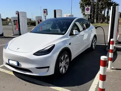 Usata Tesla Model Y RWD 125 kW (170 CV) 2023 Bianco SUV