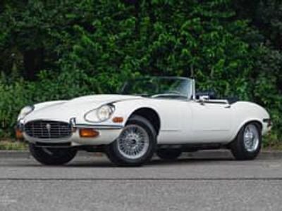 Usata Jaguar E-Type 318 CV (233 kW) 1972 Bianco Cabrio