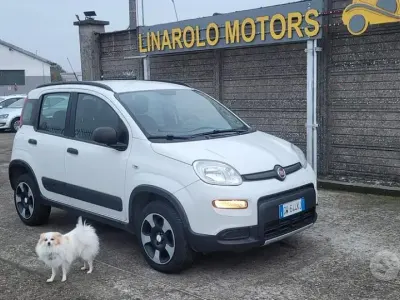 Usata Fiat Panda 4x4 S 84 CV (61 kW) 2019 Bianco Utilitaria