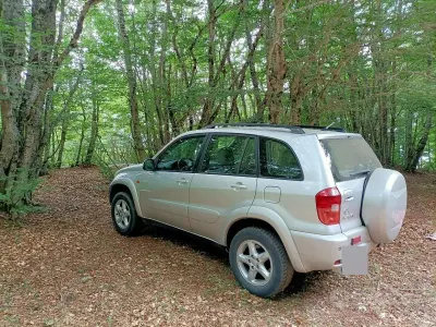 Usata Toyota RAV4 116 CV (85 kW) 2002 Grigio SUV