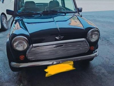 Rover Mini