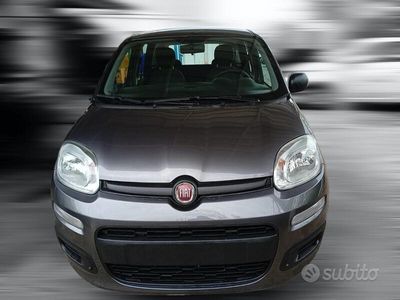 usata Fiat Panda 1.2 Easy