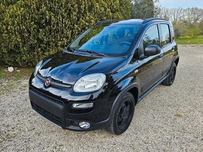 Usata Fiat Panda 4x4 Wild 95 CV (69 kW) 2019 Nero Utilitaria