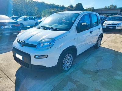 Usata Fiat Panda S 69 CV (50 kW) 2023 Bianco Utilitaria