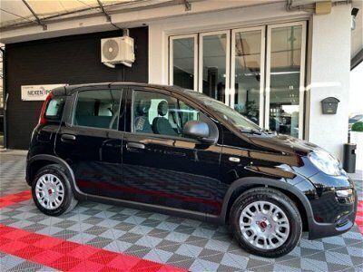 usata Fiat Panda Cross 1.0 FireFly S&S Hybrid City nuovo